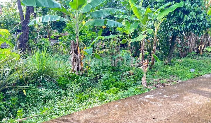 Tanah 55 Juta Dekat Pasar Jambangan Kedawung Sragen