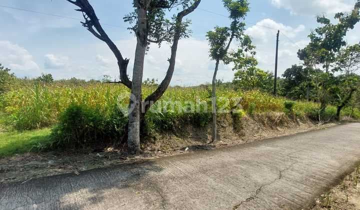 Jual Tanah Datar 8001m 90rb/m Siap Bangun Sragen