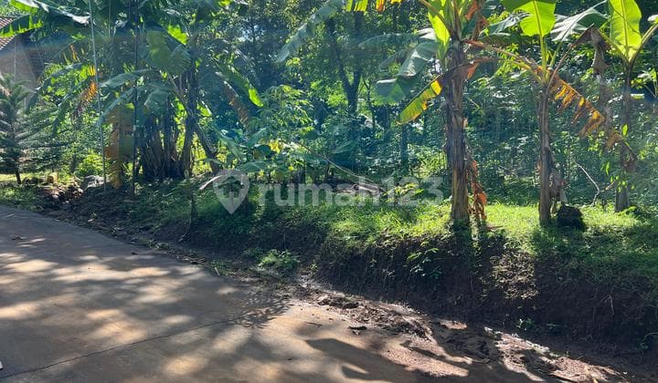 Flat Land 400M North of Kerjo Sub-District Office