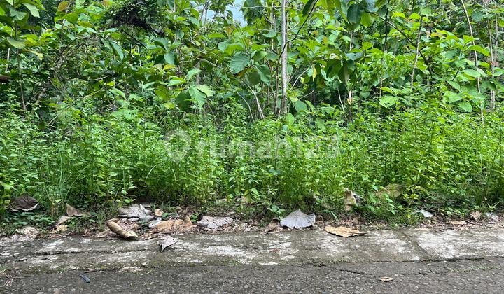 Tanah Hook 1175M Siap Bangun Sambirejo Sragen