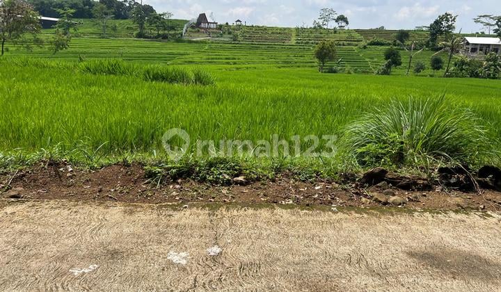 Karangpandan Land 1670M Flat Fertile Karanganyar