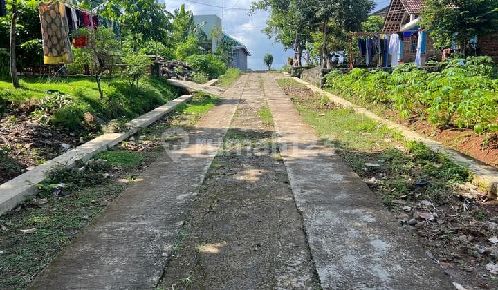 Tanah 150 Juta Timur Pasar Kedawung Sragen