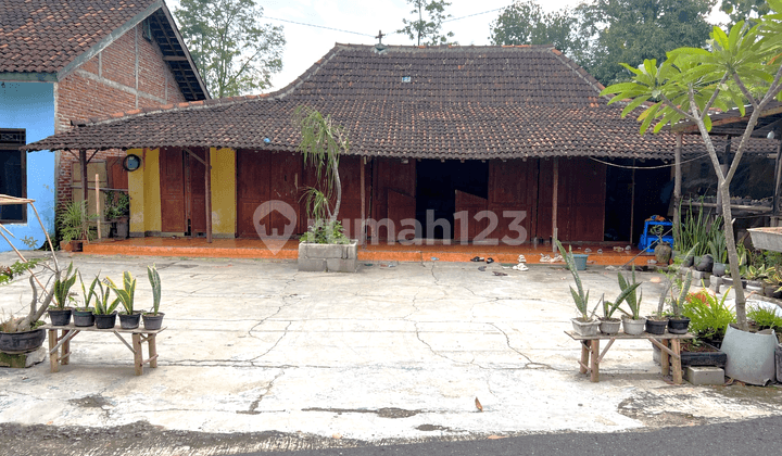 Tanah 1010M² Bonus Rumah Kedawung Sragen