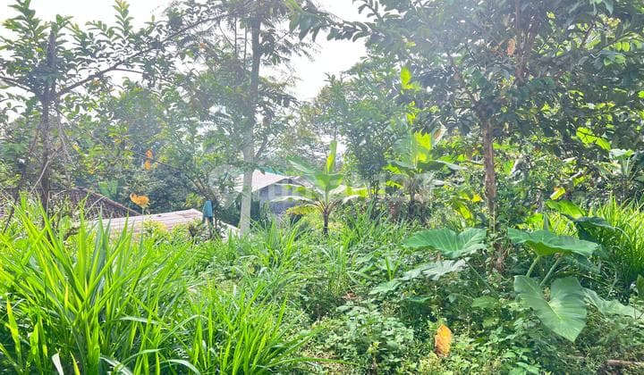 Tanah Ngargoyoso 600m 225Jt Siap Bangun