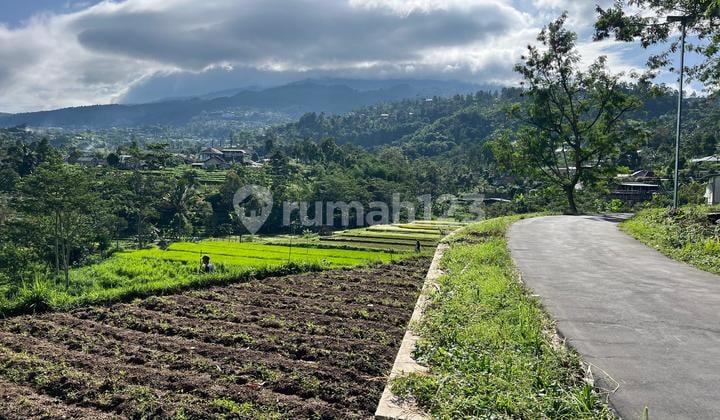Dijual Tanah View Istimewa 325M² Karangpandan Karanganyar