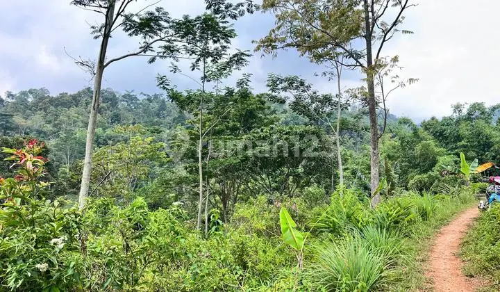 Tanah Murah Hanya 50rb/m Karanganyar (Solo)