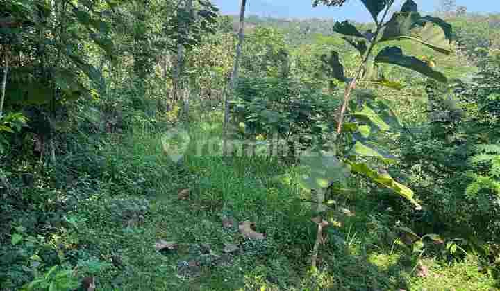 Tanah 2040m2~ 100 Jt Cocok Untuk Kebun Buah Sragen
