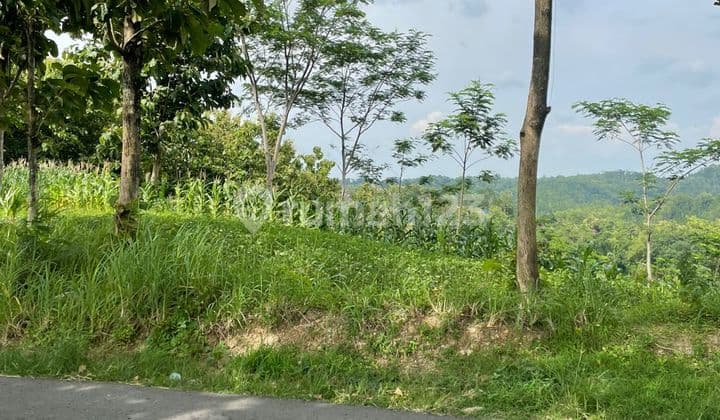 Tanah Strategis Buka Usaha 2622M² Sambirejo Sragen