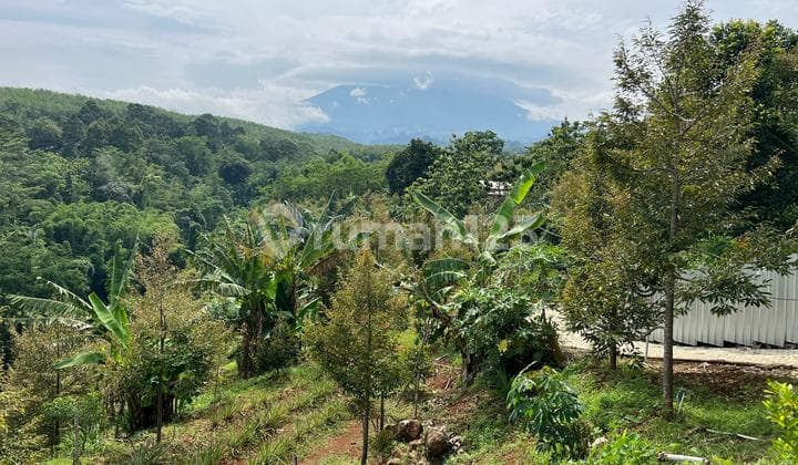 Kebun Durian Bonus Villa View Gunung Lawu Karanganyar