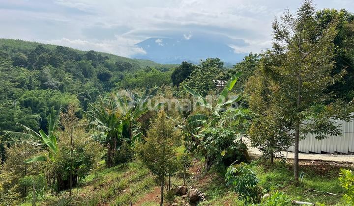 Kebun Durian Bonus Villa View Gunung Lawu Karanganyar
