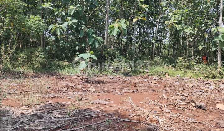 Tanah Murah 1100m2~ 100 Jt Karanganyar