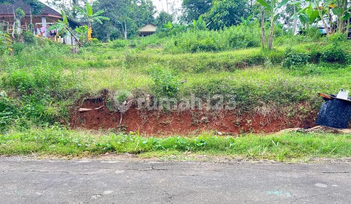 Tanah 200 Juta Cocok Untuk Hunian Karangpandan