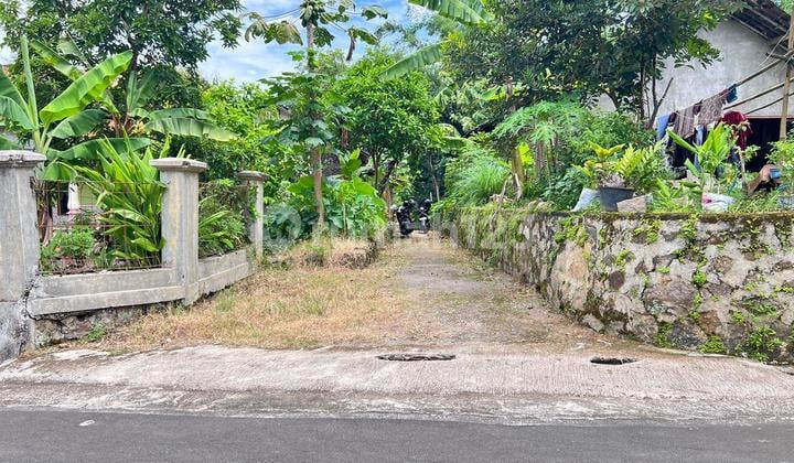 Tanah 2500M² Hanya 300 Juta Karangpandan