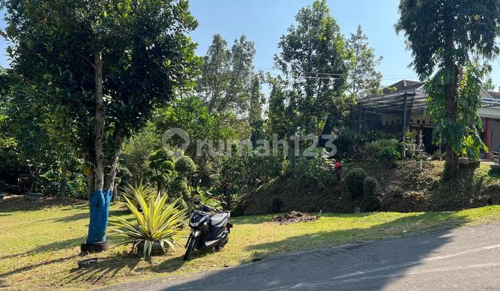 Fertile Durian Garden 1000m Kerjo, Karanganyar