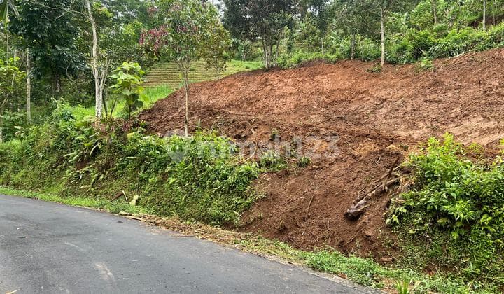 Kebun Alpukat 1200m Jalan DPU Ngargoyoso