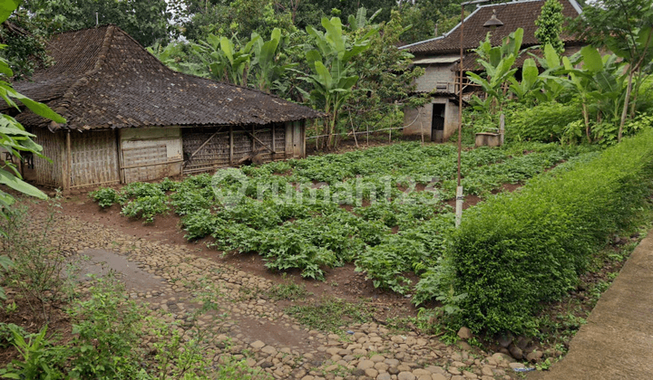 Tanah 100 Juta Dekat Pasar Mojogedang Karanganyar
