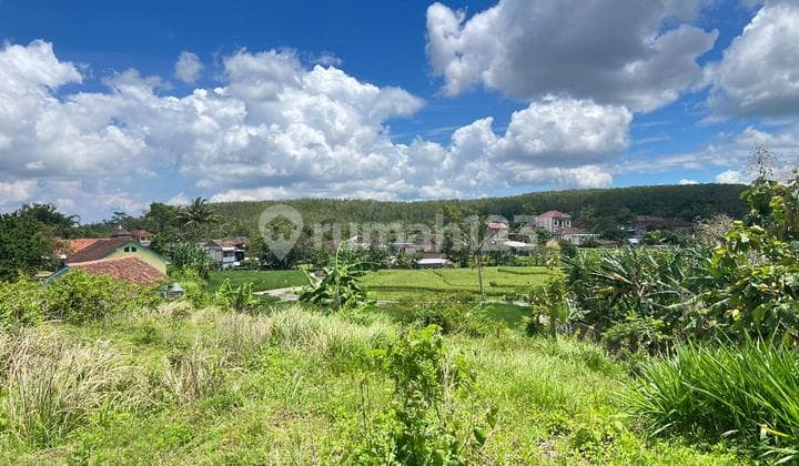 Tanah Datar 3169M2 300Jt Timur Kantor Kecamatan Kerjo Karanganyar