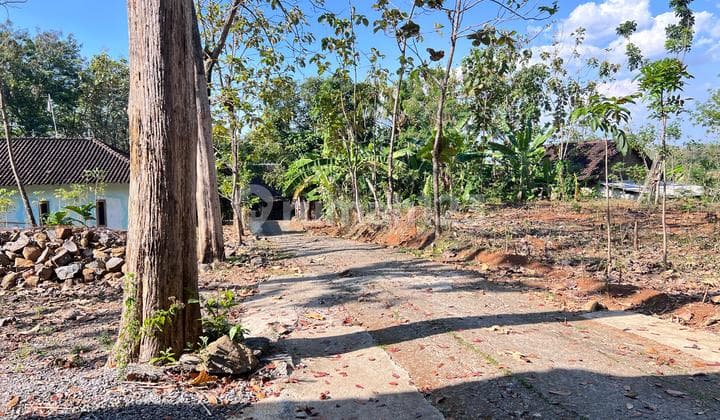 Tanah Kebun Jati 1500m Kerjo Karanganyar