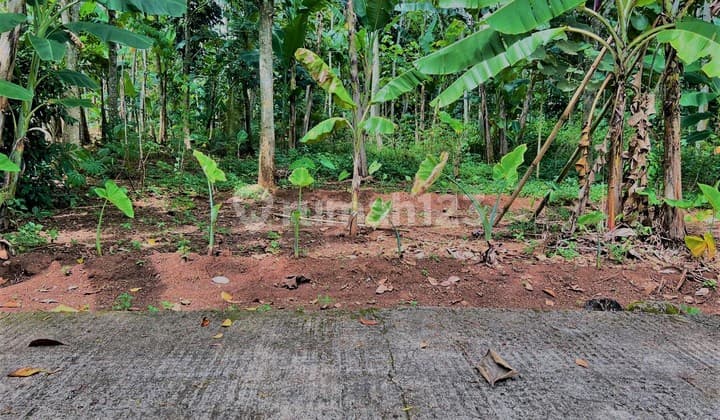 Tanah Datar & Luas Dekat Pemukiman Warga Mojogedang, Karanganyar