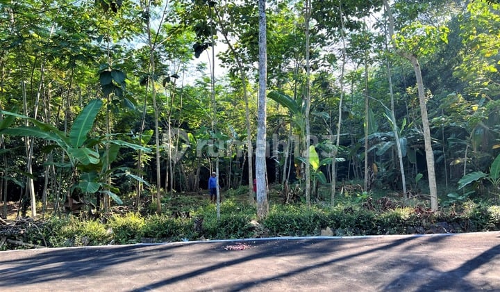 Tanah 1630m2~ 300Jt Utara Pasar Mojogedang Karanganyar
