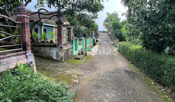 Tanah 100Jt Dekat Terminal Batu Jamus Sragen