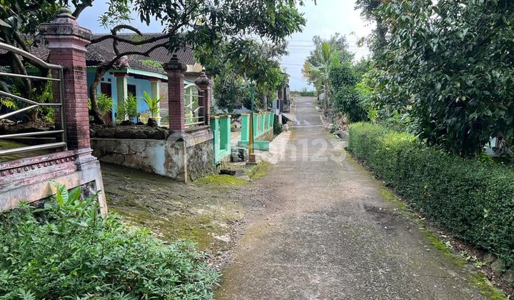 Tanah 100Jt Dekat Terminal Batu Jamus Sragen