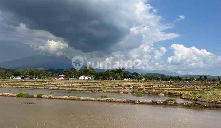 Tanah Sawah 3400m View Gunung Lawu Matesih
