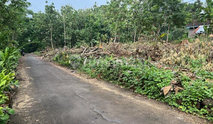 Hook Land 987m² ~ 250 Million Karanganyar