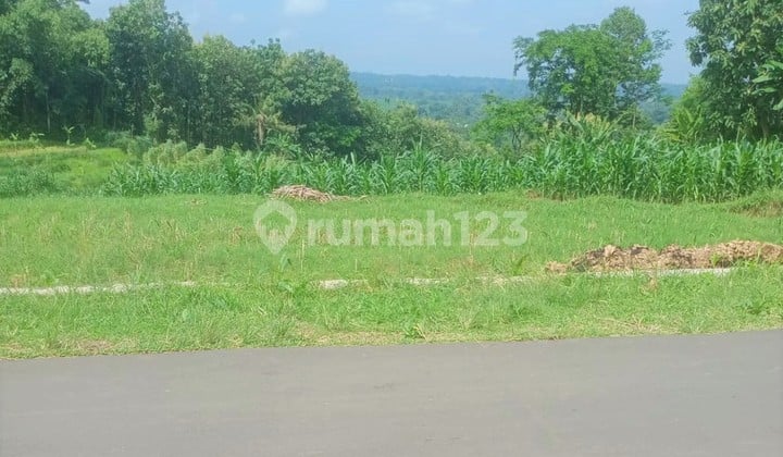 Tanah Subur 1370M² Cocok untuk Kebun Karanganyar