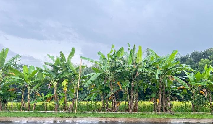 Tanah Datar 2885M2 Siap Bangun Barat Pasar Mojogedang