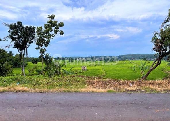 Special Land 110m 65 Million Karanganyar Work Area