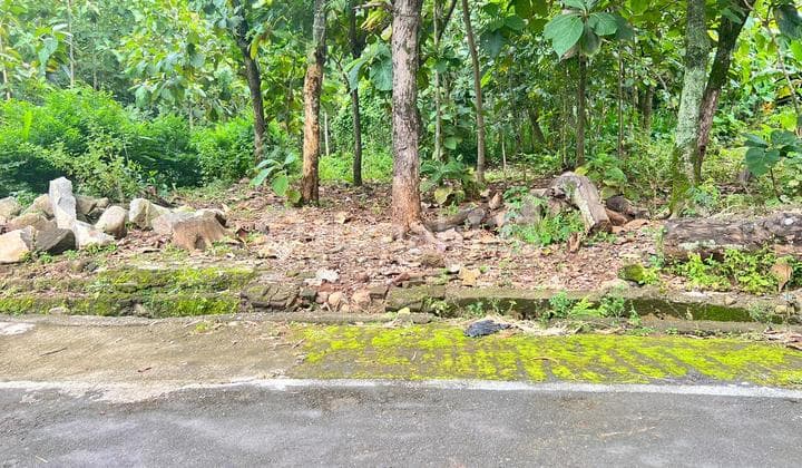 Tanah Datar 200Jt Cocok untuk Hunian Karanganyar