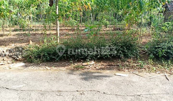 Tanah Murah 125Jt Mojogedang Karanganyar
