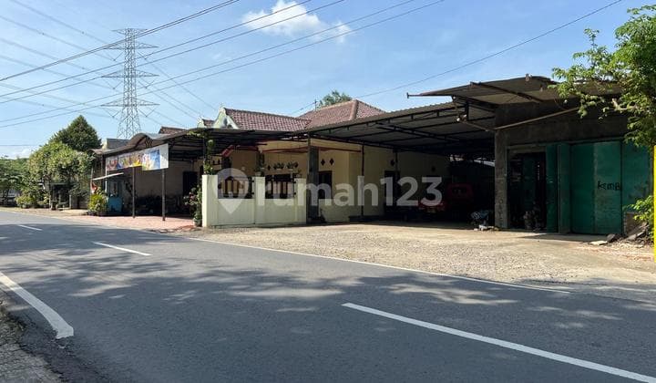 Tanah Datar View Sawah 432M² Sambirejo Sragen