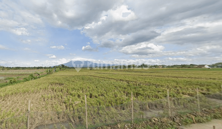 Tanah 150Jt View Gunung Lawu Timur Pasar Jambangan Kedawung