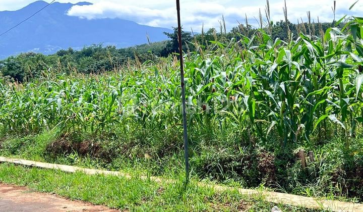 Tanah View Gunung Lawu 8000M2 Kerjo Karanganyar Utara