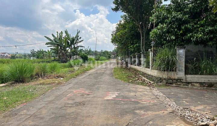 Sell Fast Flat Land 389M² 150 Million Kerjo Karanganyar