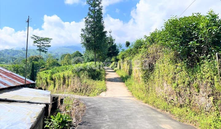 Tanah Timur Pasar 175m Kemuning Karanganyar