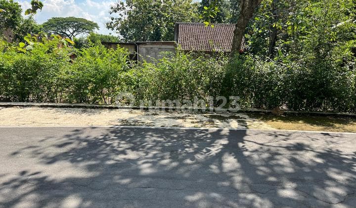 Tanah 300 Jt Cocok untuk Hunian Mojogedang