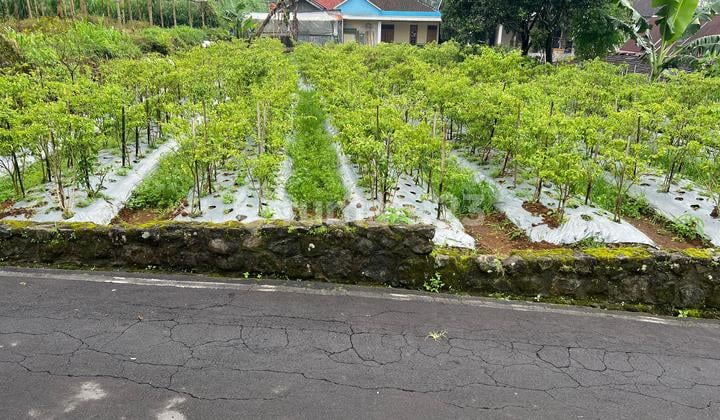 Tanah Kawasan Wisata 400M2 Kemuning Karanganyar
