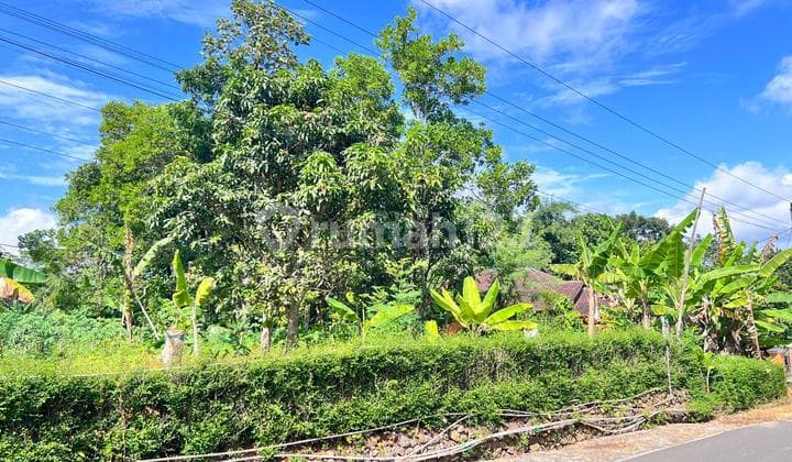 Tanah 800M² Cocok untuk Rumah Tinggal Karanganyar
