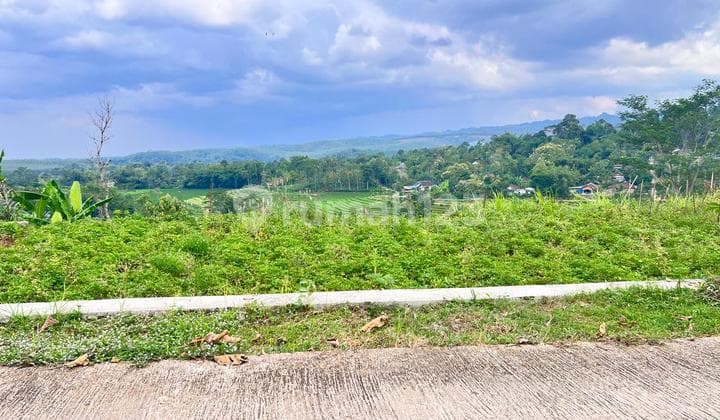 Tanah 4121M² View Hamparan Sawah Karanganyar
