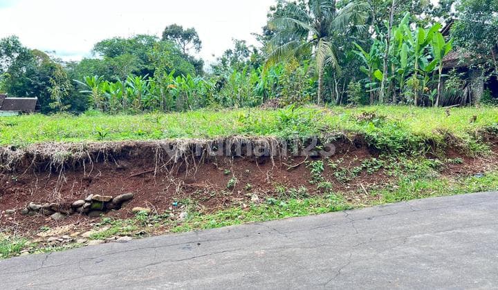 Kebun Durian 700M² 250Juta Kerjo Karanganyar