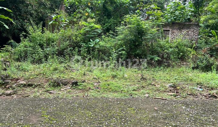 Land 125 Million Suitable for Investment & Fruit Orchard Karanganyar