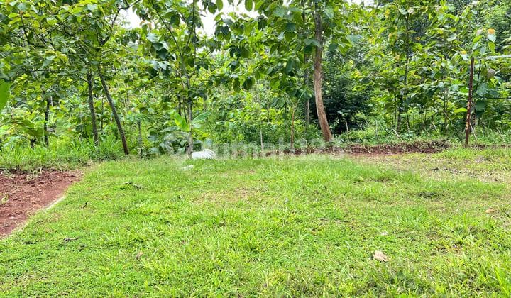 Tanah Datar 7900m2 Udara Sejuk Karanganyar