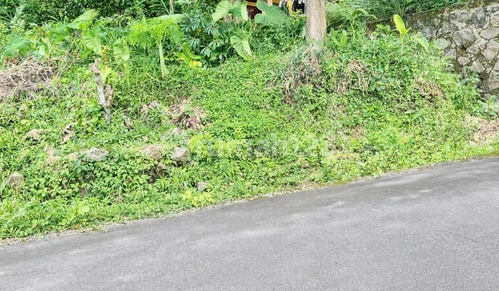 Tanah Investasi 400M2 Karangpandan Karanganyar