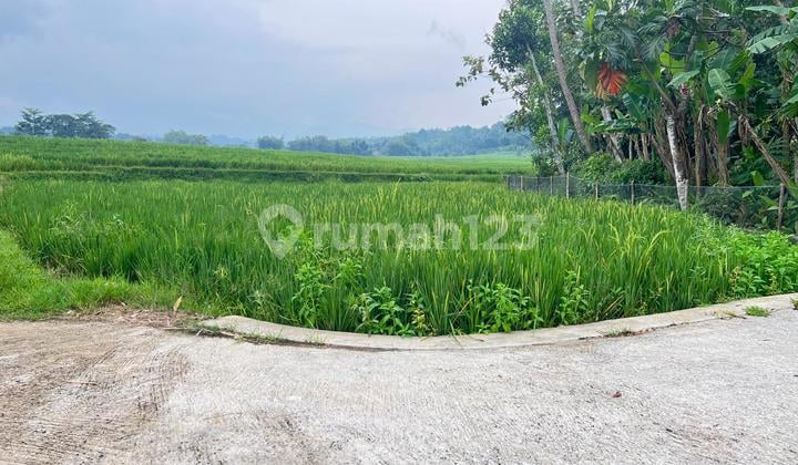 Tanah Datar 150 Juta View Hamparanh Sawah Mojogedang