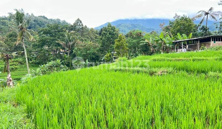 Dijual Tanah Cocok Dibangun Villa/Homestay View Indah Dialiri Sungai