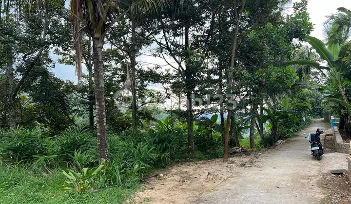 Beautiful Durian Orchard View 6313M² East Karanganyar