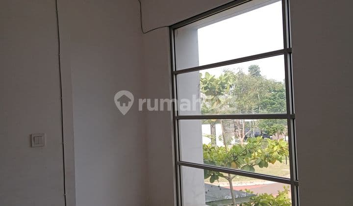 For Sale Piano Cluster Olive Type Size 6x15